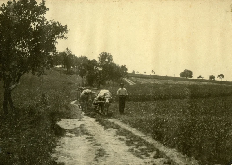 Historische Aufnahme aus Kieselbronn, Nummer 010