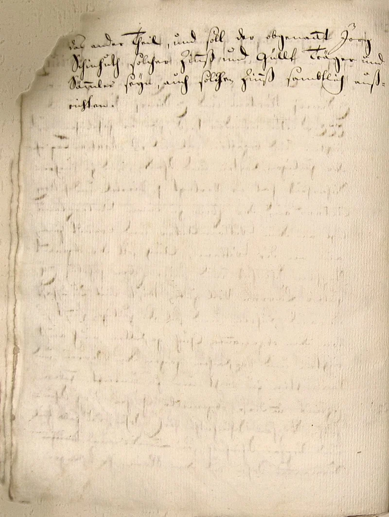 Originalseite 20 des Zinsbuchs von 1511