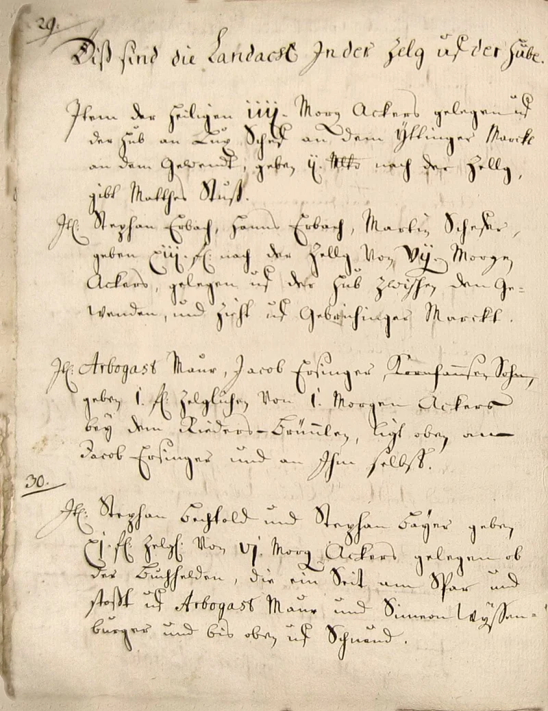 Originalseite 26 des Zinsbuchs von 1511