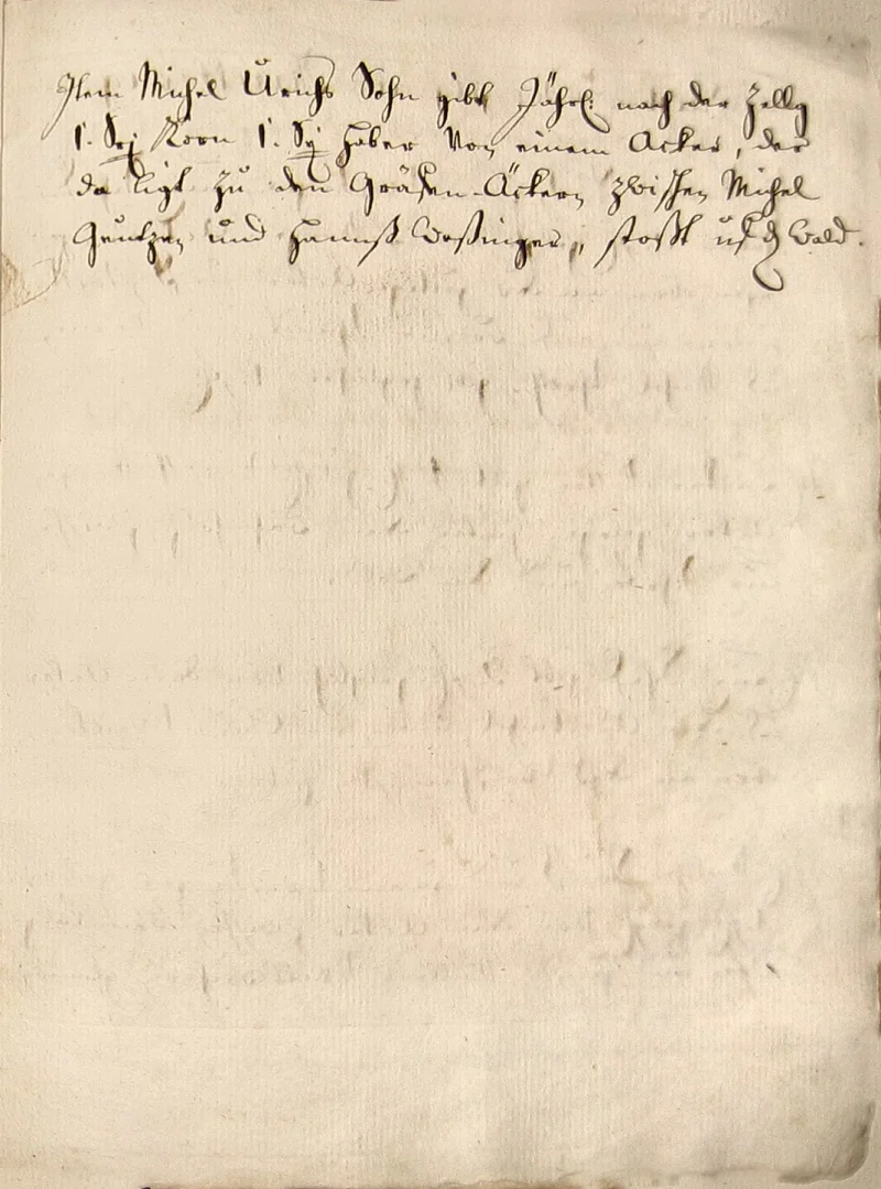 Originalseite 29 des Zinsbuchs von 1511