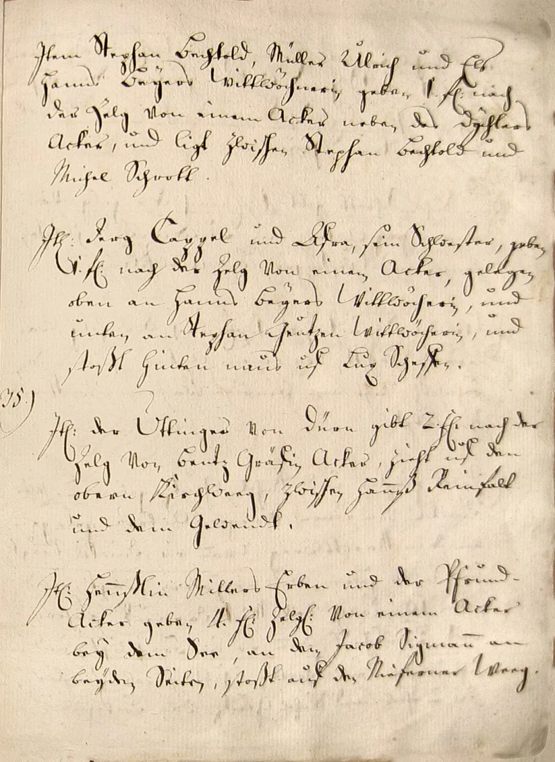 Originalseite 31 des Zinsbuchs von 1511