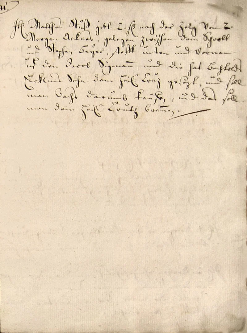 Originalseite 37 des Zinsbuchs von 1511