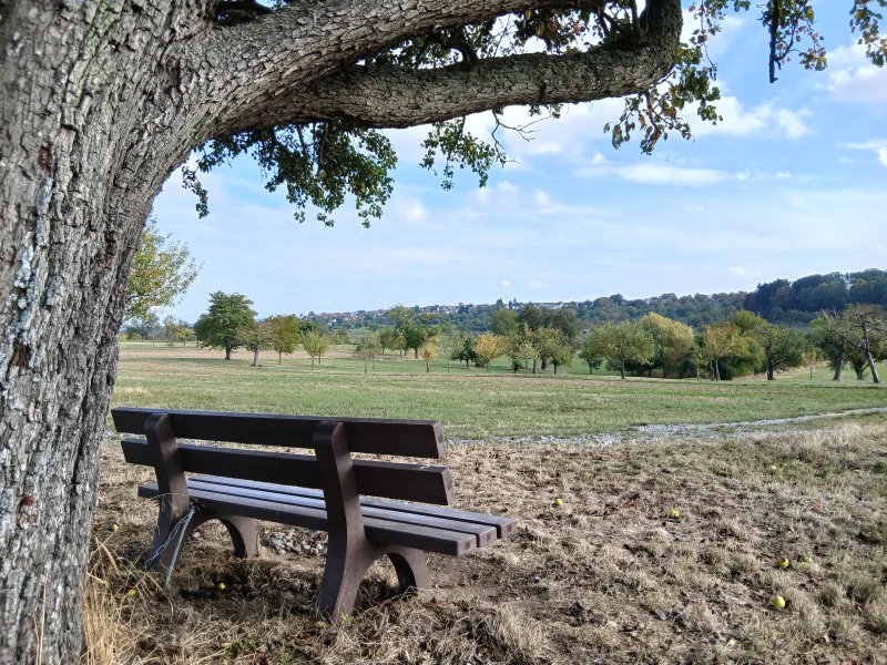 Die Holzbank unter dem Baum, Blick über Wiesen mit Obstbäumen bis zu einem bewaldeten Höhenzug.