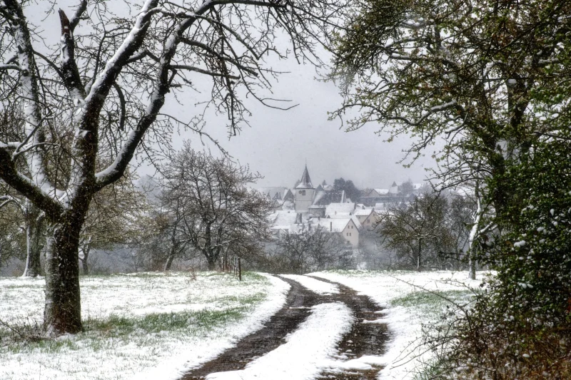 Verschneiter Feldweg zwischen Obstbäumen, im Hintergrund das Dorf Kieselbronn mit Kirchturm im Schneetreiben.